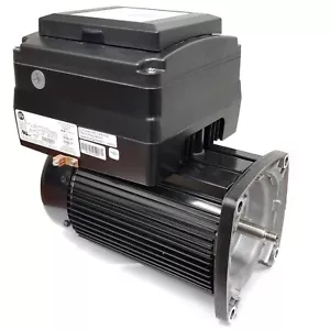 Ecostar Tristar / Whisper-flo Variable Speed Pool Pump Motor w/ Control NPTQ165 - Picture 1 of 3
