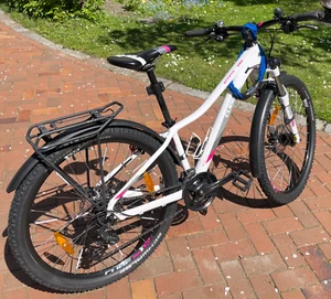 CUBE 19 Access WS Allroad - Bild 1 von 5