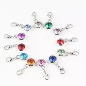 Charm Clip-on Birthstone Bracelet Necklace Zipper Keychain Stitch Markers - Picture 1 of 16