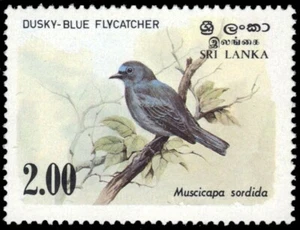 SRI LANKA 693 (SG829) - Altrosa Fliegenfänger "Muscicapa sordida" (pb58958) - Bild 1 von 1