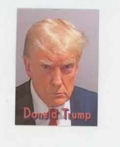 Donald Trump - Imán de nevera de metal - Mugshot - Imagen 1 de 1