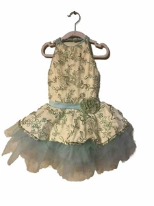 Revolution Dancewear Girl Ballet Tutu Dress Teal Dance Recital Size Small Child - Picture 1 of 5
