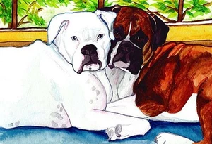 13x19 BOXER Rehkitz weiß signiert Hund Kunstdruck Original Aquarell Gemälde VERN - Bild 1 von 1