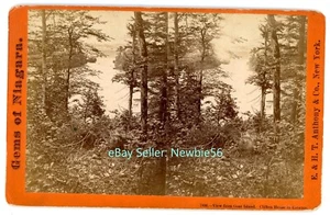Cataratas del Niágara NY - VISTA DESDE GOAT ISLAND - c1870s Grande E&HT Anthony Stereoview - Imagen 1 de 2