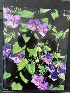 The Lattice Gardener by William C. Mulligan (1995, Hardcover Book) Free Shipping - Imagen 1 de 3