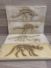 Dinosaur Fossil Wall Arts Children’s Bedroom