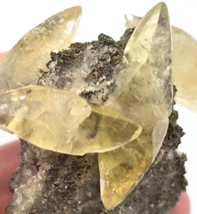 +++ CALCITE, CHALCOPYRITE, DOLOMITE SWEETWATER MINE, MISSOURI +++ - Picture 1 of 8