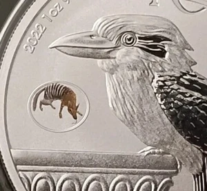 2022 Perth Money Expo ANDA Kookaburra Numbat Privy Mark $1.00 1oz Silver Coin. - Picture 1 of 8