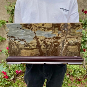 14 Pfund natürliches chinesisches baumförmiges Kalksteinbild, Stein nationaler Blumenschmuck - Bild 1 von 12