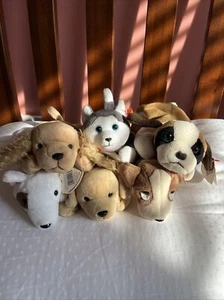 TY Beanie Babys Hund Paket - Spunky Butch Tracker Fetch Nanook Bernie '96-'98 - Bild 1 von 14