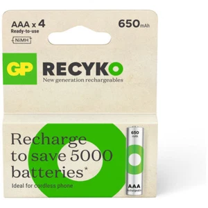 GP GPRHCH63E042 GP Recyko Nimh 650mAh AAA 4's Ecv Paper Box - Picture 1 of 1