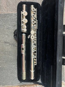 Flauta agujero abierto con estuche rígido - Imagen 1 de 7