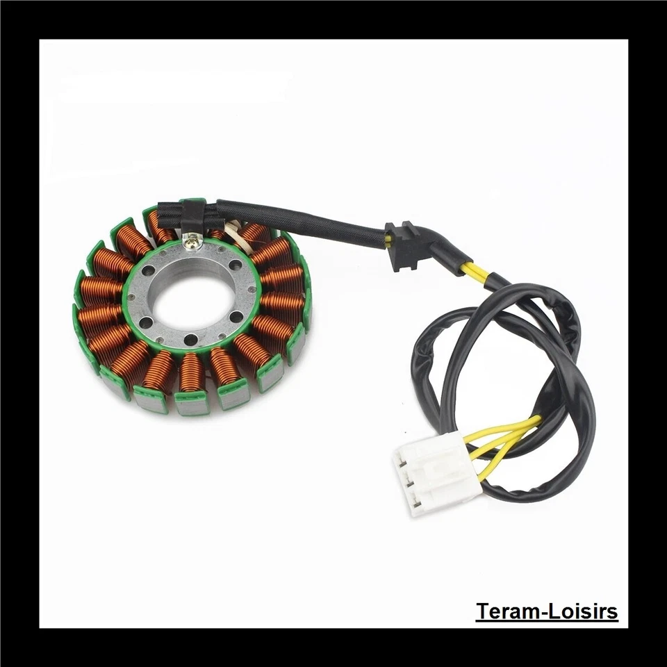 Stator Allumage pour Honda CBF 1000 / SC 58 de 2006 à 2010 - Photo 1/4