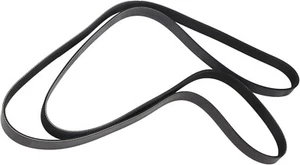 Cinturón serpentino acanalado en V genuino GM 12637204 - Imagen 1 de 1