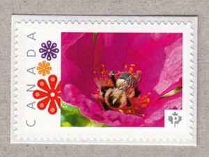 BEE on WILD ROSE FLOWER = Picture Postage MNH Stamp Canada 2016 [p16/03be7/1] - Picture 1 of 2