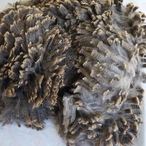 Australian Corriedale raw fleece coloured wool 300g Grey - from Medium to Dark - Picture 1 of 13