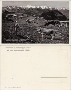 Ansichtskarte Vitznau Alphornbläser auf Schreibers Hotel Rigi Kulm 1932 - Bild 1 von 3