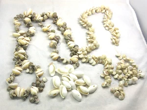 Vintage Cowrie Shell Beads Necklace Lot, Broken for Repair or Beads Estate CS6 - Picture 1 of 5