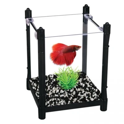 Betta Fighting Fish Black Arc Tank 1L Beginners tank by Aqua One - image 1 of 3
