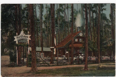 AK Berlin Grunewald Gruss aus dem Waldhaus am Wilhelm-Turm 19.8.1925 - Bild 1 von 2