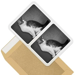 2 rechteckige Aufkleber 10 cm BW - Tabby Katze süßes Kätzchen Haustier #36908 - Bild 1 von 9