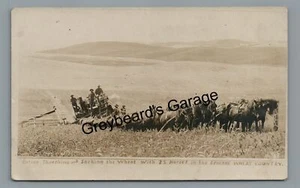 RPPC Cutting Threshing Wheat Horses Farming SPOKANE WA Real Photo Postcard - Picture 1 of 2