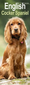 English Cocker Spaniel Slim 2026 Calendar | Dog Gift 15% OFF MULTI ORDERS - Picture 1 of 8