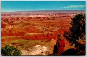 Postcard Arizona Painted Desert National Monument Route 66 Onlooker AZ - Picture 1 of 2