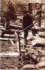 Spearing Sturgeon en Lower Wisconsin Dells - Postal cromada - Foto de HH Bennett - Imagen 1 de 2