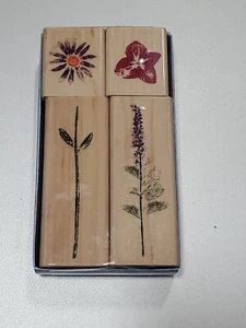 Sprigs & Blooms Boxed Set Staudendrucke Inkadinkado Gummistempel Holz montiert - Bild 1 von 3