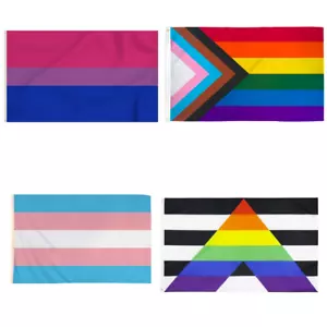 Bandera del Orgullo Arco Iris Gay Heterosexual Aliado Transgénero Progreso Orgullo Bisexual - Imagen 1 de 5