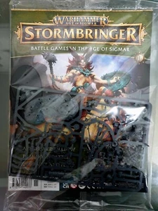 Warhammer Aos Stormbringer Sammlung / Teilewerk - Spielewerkstatt (verschiedene Ausgaben) - Bild 1 von 45