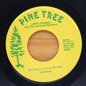 LARRY SPARKS - BLUE EYES CRYING IN THE RAIN / KENTUCKY CHIMES - BLUEGRASS 45 - Imagen 1 de 2