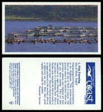 Fish Farming #1 Discovering Our Coast 1989 Brooke Bond Tea Card