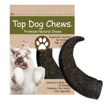 Natural Water Buffalo Bully Horns Edible Treat X LARGE - Top Dog Chews