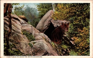 Cartolina Non Sopporto Di Lasciare Le Montagne Bianche Bordo Bianco Non Spedita - Foto 1 di 3