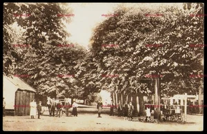 PULHAM ST. MARY Norfolk Village Street Scene Trees People Cart Vtg Postcard - Picture 1 of 2