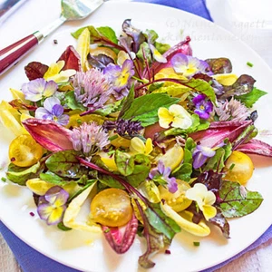 EDIBLE FLOWER SEEDS MIX-15 VARIETIES-GARNISHES-SALADS-GARDEN HERBAL TEA PLANTS - Picture 1 of 18