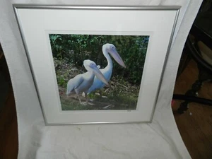 2 Pelican colored Framed picture marked nsm 16.25" x 16.25"outside - Picture 1 of 4