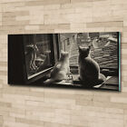 Wandbild aus Plexiglas® Druck auf Acryl 125x50 Tiere Katzen am Fenster
