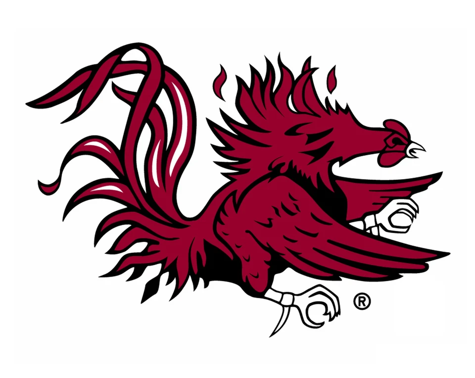 South Carolina Gamecocks NCAA Weather Resistant Vinyl Die Cut Sticker Decal 05 - Image 1 of 1