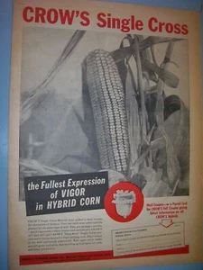 VINTAGE SEED CORN ADVERTISING -10" x 14" -CROWS HYBRID SEED CORN -SINGLE CROSS - Picture 1 of 1