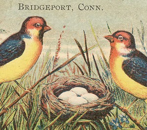  BRIDGEPORT CT TRADE CARD, FRESH BUTTER BAKING POWDER CO, Dr. PHILIP THORPE A707
