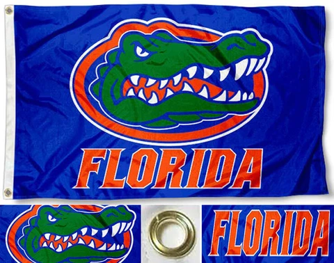 Florida Gators Flag ~ Large 3'X5' ~ University of Florida ~ NCAA ~ FREE SHIPPING Cover