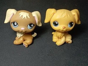 Lot 2 Littles Petshop hasbro LPS - Chien / Dog Golden Retriever #21 et #951 - Foto 1 di 8