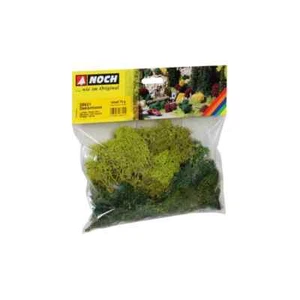 HO Lichen Green Mix 75g - Picture 1 of 2