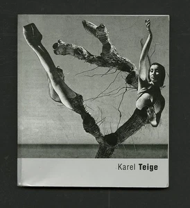 2001 Karel Srp KAREL TEIGE Czech Avant-Garde Surrealist PhotoCollage 164-pg Book - Bild 1 von 3