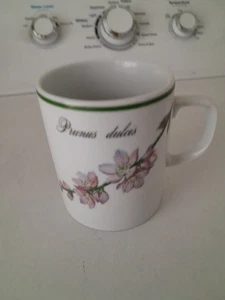 Apilco Elysian Gardens Becher Puenus dulces France - Bild 1 von 7