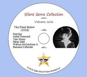 DVD "The Floor Below" (1918) starring Mabel Normand, Classic Silent Comedy-Drama - Picture 1 of 11