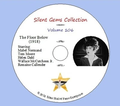 DVD "The Floor Below" (1918) starring Mabel Normand, Classic Silent Comedy-Drama - Image 1 of 4
